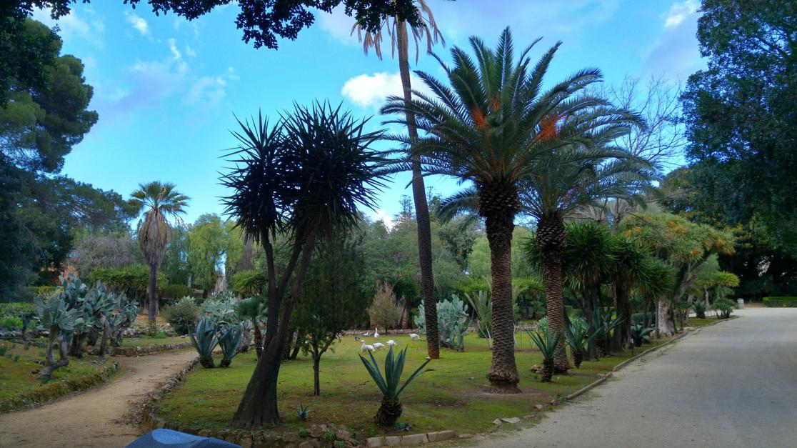 Villa Niscemi - caminos en el parque